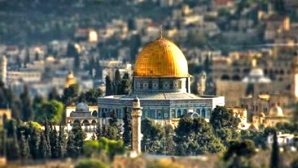 صدى العرب
