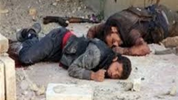 صدى العرب