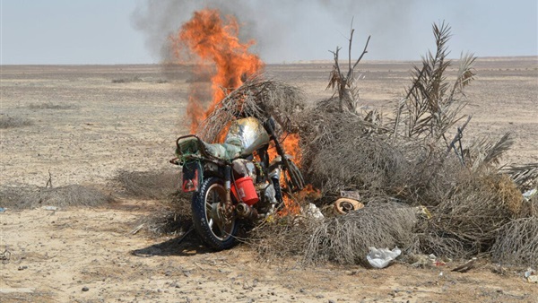 صدى العرب