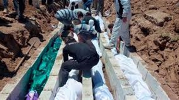 صدى العرب