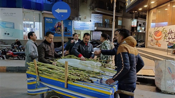 صدى العرب