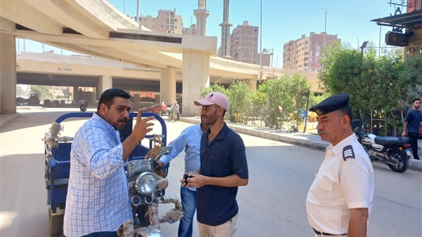 صدى العرب