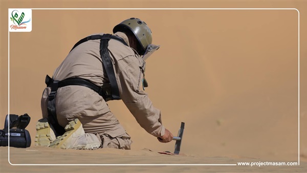 صدى العرب