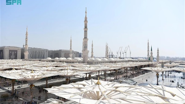 صدى العرب