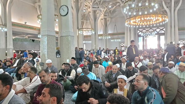 صدى العرب