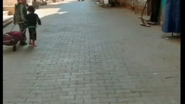 صدى العرب