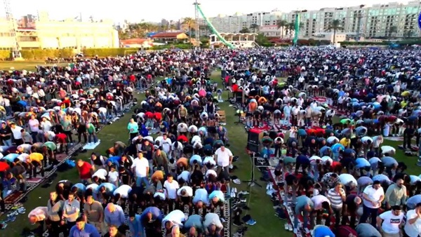 صدى العرب