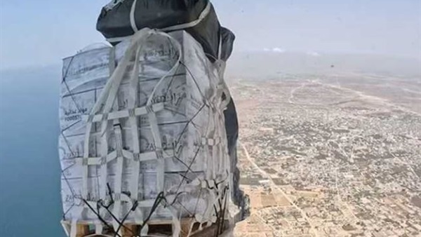 صدى العرب