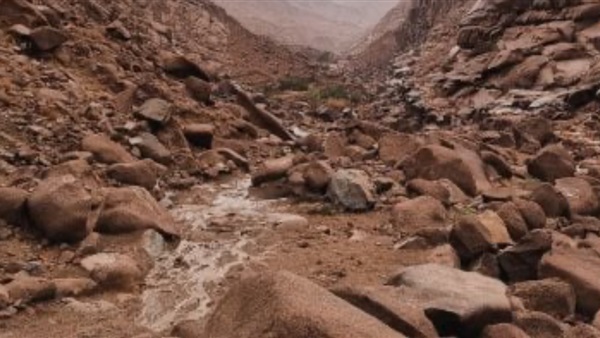 صدى العرب