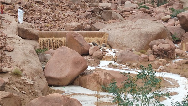 صدى العرب