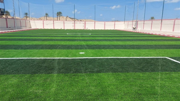 صدى العرب
