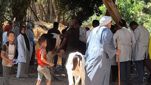 صدى العرب