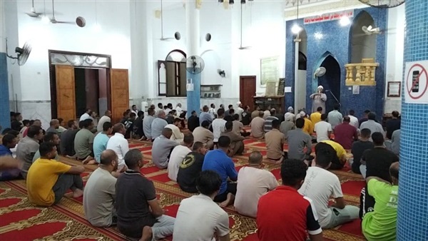 صدى العرب