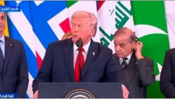 صدى العرب