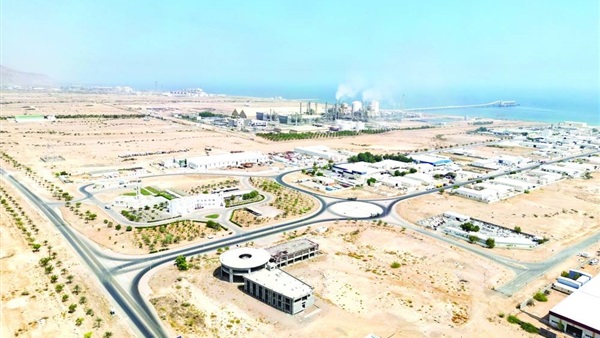 صدى العرب