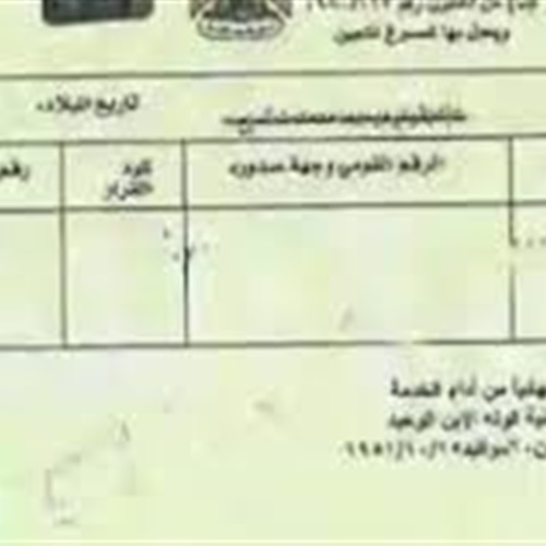 صدى العرب: استخراج ورقة «2 جند» أونلاين.. خطوات سهلة دون الذهاب لمنطقة ...
