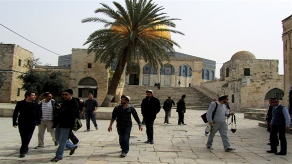 صدى العرب