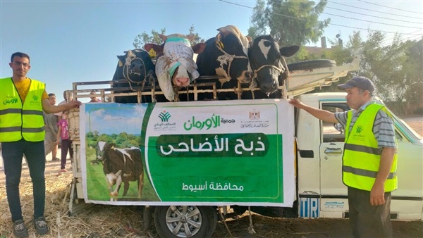 جمعية الأورمان