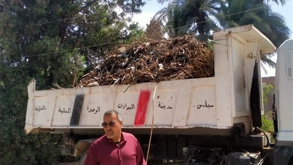صدى العرب