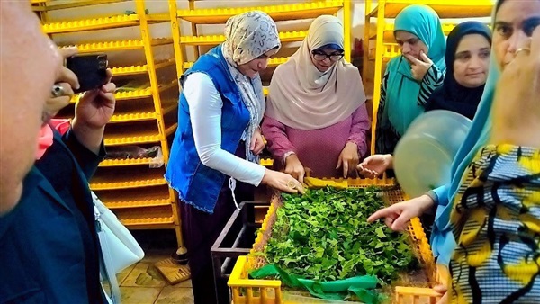  معهد بحوث وقاية