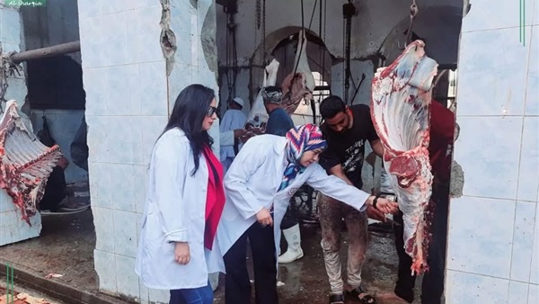 بيطري الشرقية