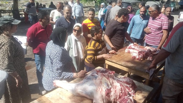 محافظ الإسكندرية