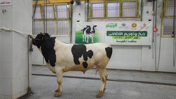 الأورمان