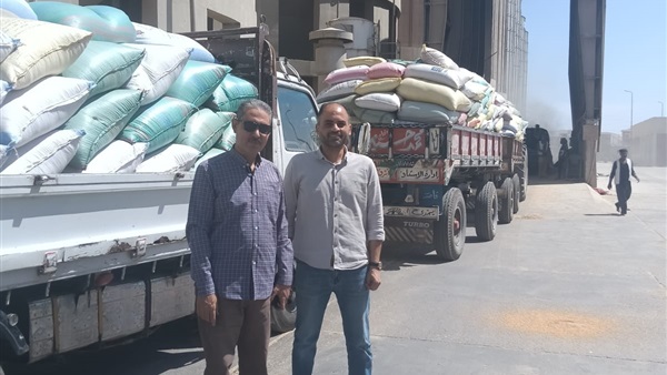 توريد القمح 