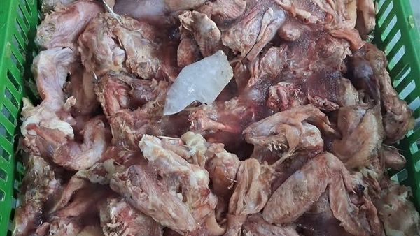 صدى العرب