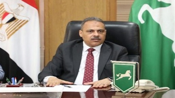 محافظ الشرقية