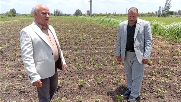 وكيل وزارة الزراعة