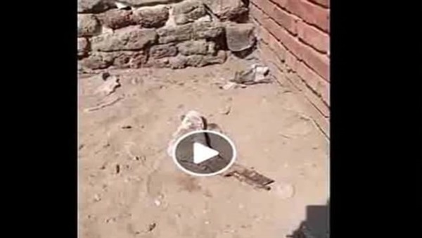 الواقعة