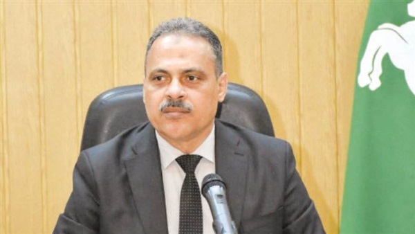 محافظ الشرقية