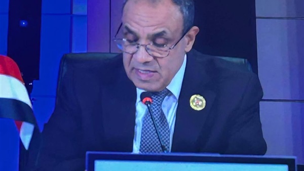 وزير الخارجية 