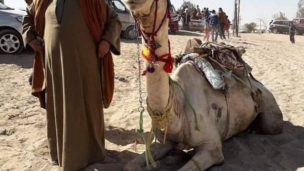 نقيب الفلاحين