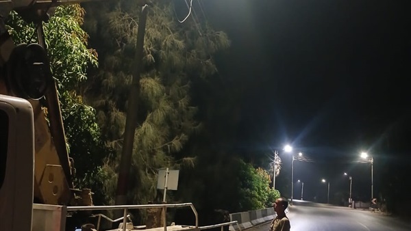 صدى العرب