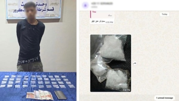 صدى العرب