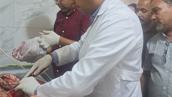 لحوم غير صالحة