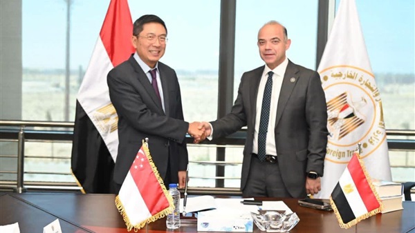 وزير الاستثمار