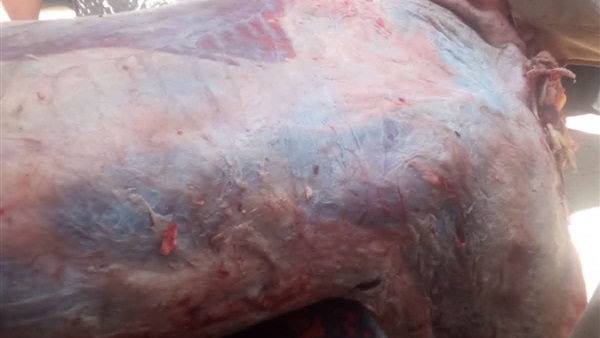 أغذية غير صالحة
