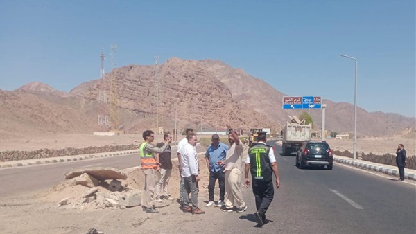 صدى العرب
