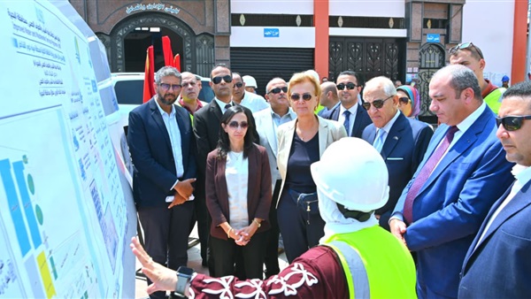 محافظ البحيرة 