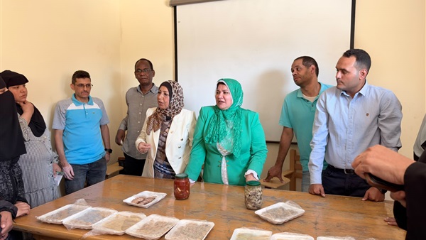 جامعة كفر الشيخ
