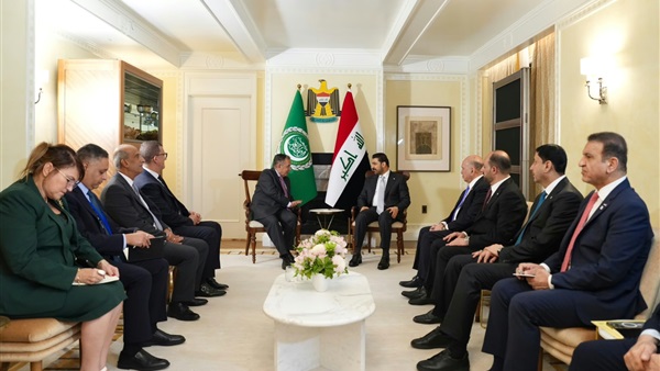 نبيل فهمي