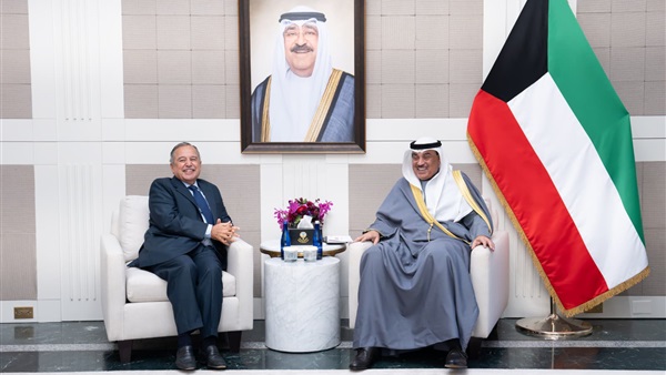 نبيل فهمي