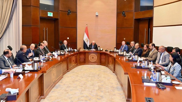 نائب رئيس الوزراء