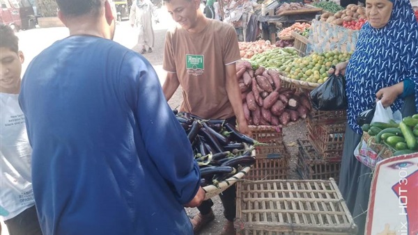  حملات تفتيشية مكثفة