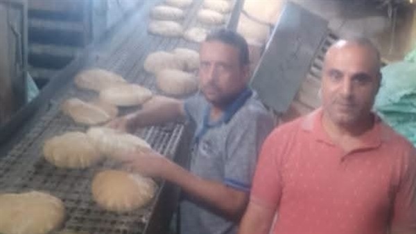 26مخالفة تموينية