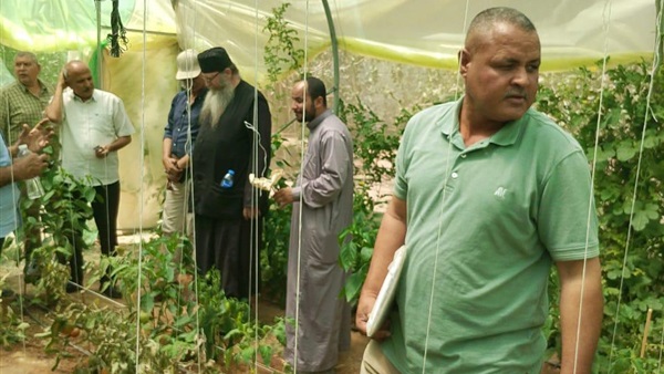 صدى العرب