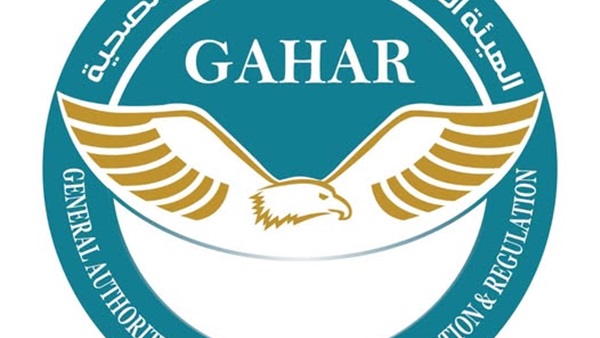 الهيئة العامة والرقابة